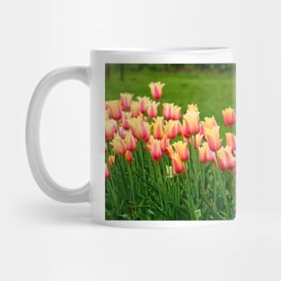 Orange yellow Tulips Mug